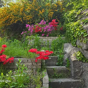 Seochon Secret Cave House 서울특별시